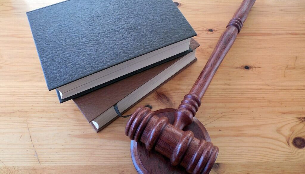 hammer books law dish lawyer 620011